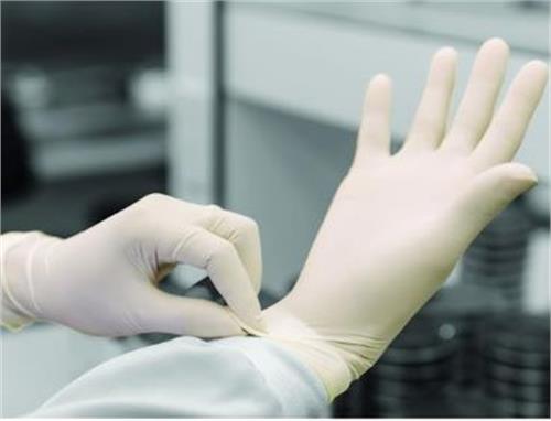 Latex examination gloves powdered free